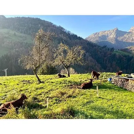 Le Mazot Du Genevrier - Au Coeur Des Aravis * Les Clefs